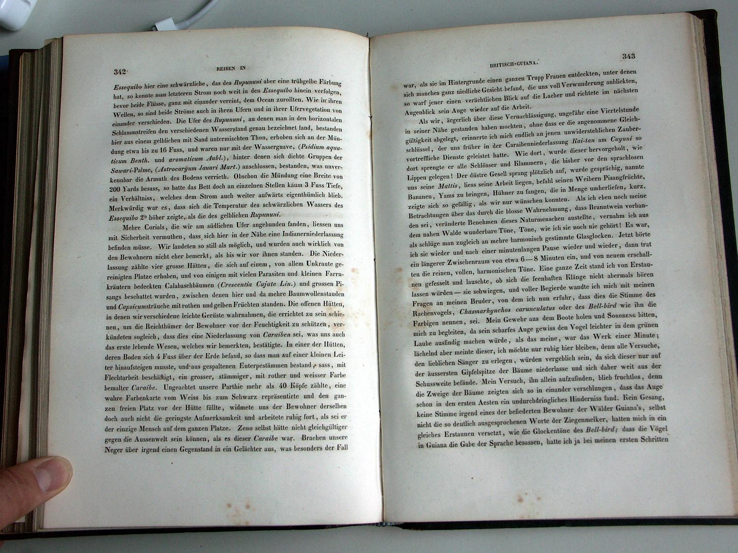 ZZ-RISC47,S.342 Rio Rupununi Dorf der Kariben